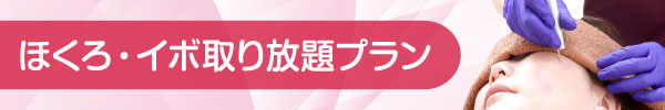 ほくろ・イボ取り放題プラン